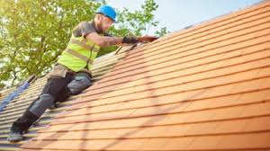 Best Roof Moss and Algae Removal  in Glen Lyon, PA