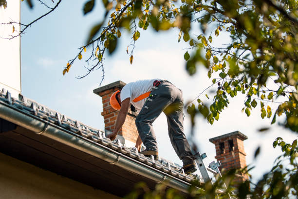 Best Roof Insulation Installation  in Glen Lyon, PA