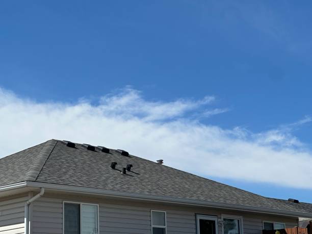 Steel Roofing in Glen Lyon, PA